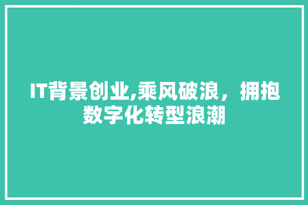 IT背景创业,乘风破浪，拥抱数字化转型浪潮