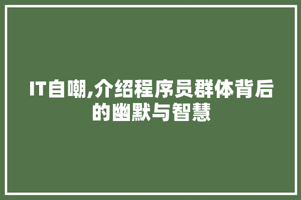 IT自嘲,介绍程序员群体背后的幽默与智慧