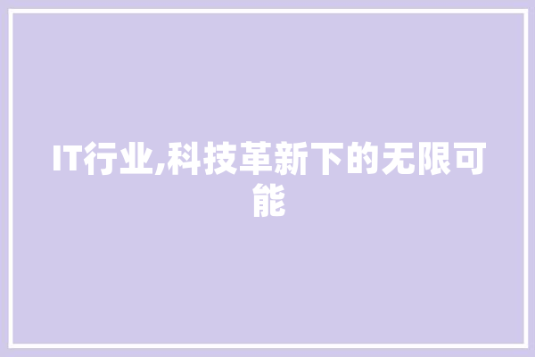 IT行业,科技革新下的无限可能 绘影字幕