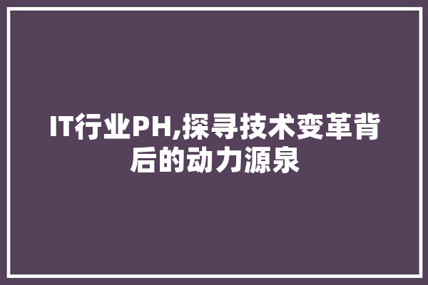IT行业PH,探寻技术变革背后的动力源泉 智能写作