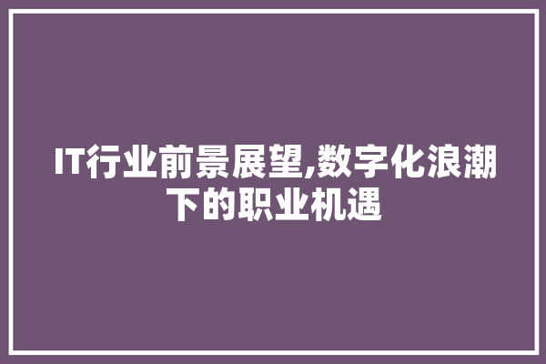 IT行业前景展望,数字化浪潮下的职业机遇