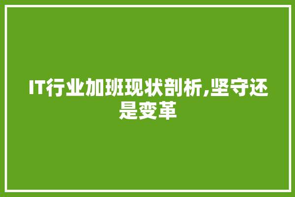 IT行业加班现状剖析,坚守还是变革