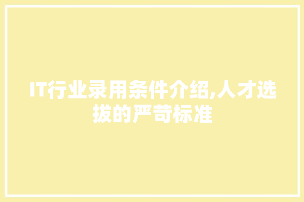 IT行业录用条件介绍,人才选拔的严苛标准 AI简讯