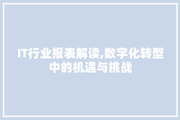 IT行业报表解读,数字化转型中的机遇与挑战 计算机