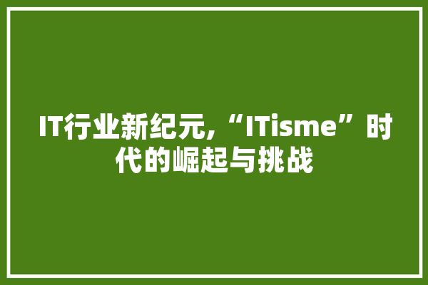 IT行业新纪元,“ITisme”时代的崛起与挑战