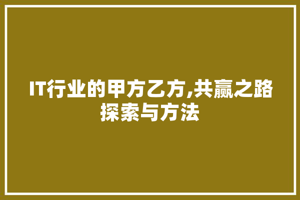 IT行业的甲方乙方,共赢之路探索与方法 AI快讯