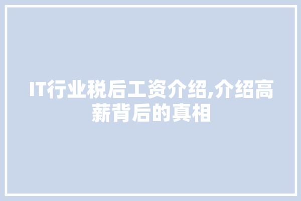 IT行业税后工资介绍,介绍高薪背后的真相 科技快讯