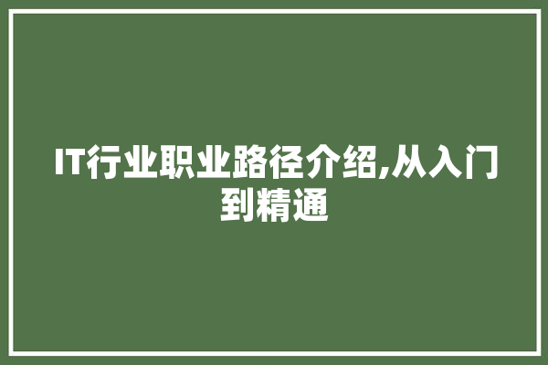 IT行业职业路径介绍,从入门到精通 AI简讯
