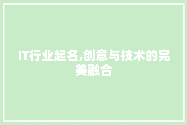 IT行业起名,创意与技术的完美融合