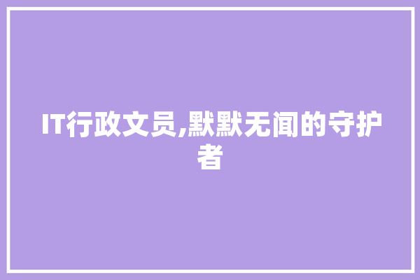 IT行政文员,默默无闻的守护者