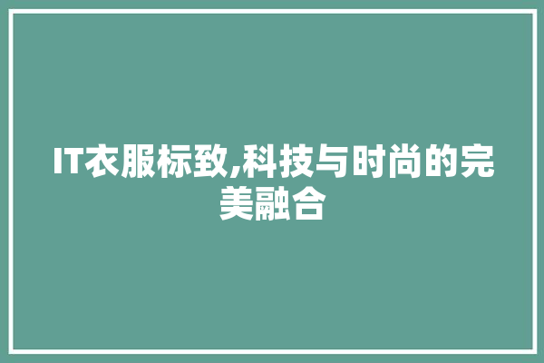 IT衣服标致,科技与时尚的完美融合