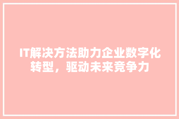 IT解决方法助力企业数字化转型，驱动未来竞争力