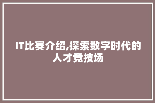 IT比赛介绍,探索数字时代的人才竞技场
