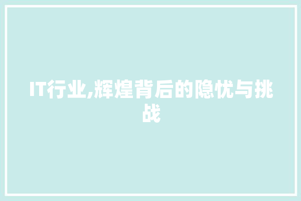 IT行业,辉煌背后的隐忧与挑战 云服务