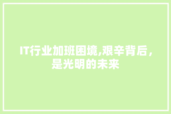 IT行业加班困境,艰辛背后，是光明的未来 AI快讯