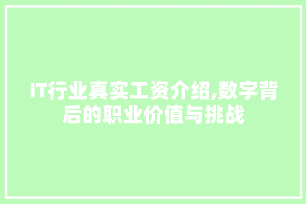 IT行业真实工资介绍,数字背后的职业价值与挑战