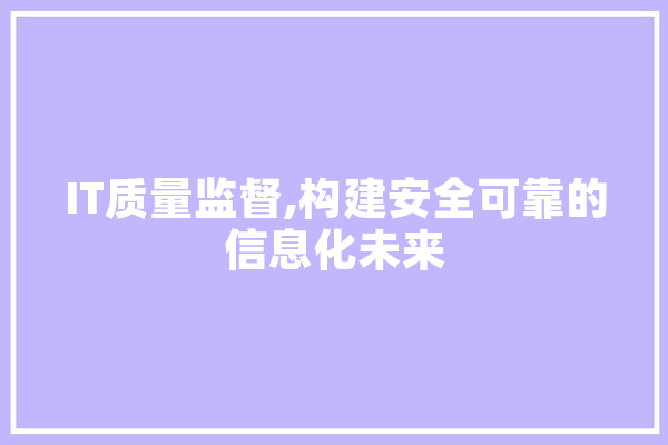 IT质量监督,构建安全可靠的信息化未来 绘影字幕