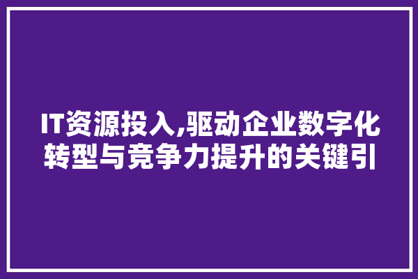 IT资源投入,驱动企业数字化转型与竞争力提升的关键引擎
