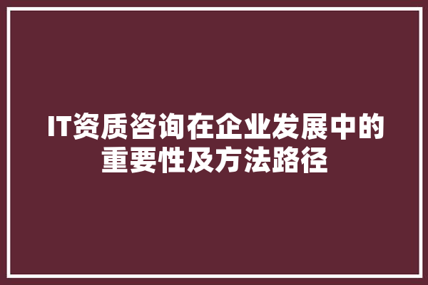 IT资质咨询在企业发展中的重要性及方法路径