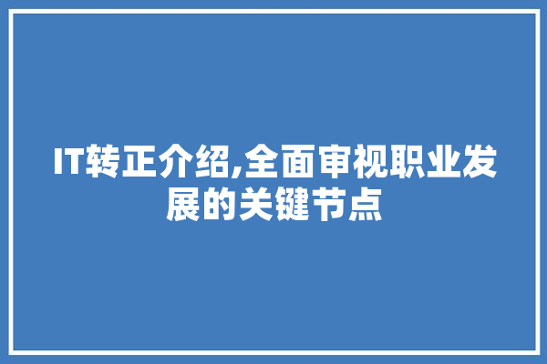 IT转正介绍,全面审视职业发展的关键节点