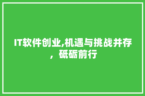 IT软件创业,机遇与挑战并存，砥砺前行