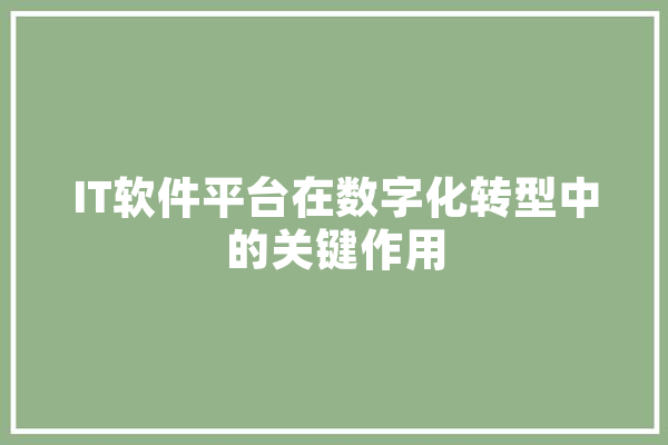IT软件平台在数字化转型中的关键作用 计算机