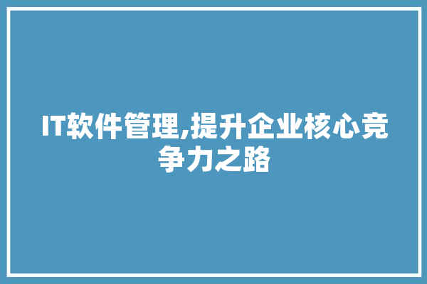 IT软件管理,提升企业核心竞争力之路 云服务