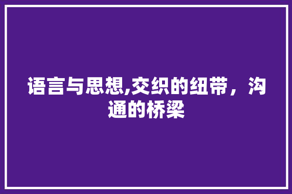 语言与思想,交织的纽带，沟通的桥梁 智能问答