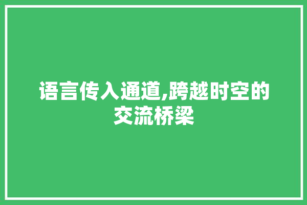 语言传入通道,跨越时空的交流桥梁 绘影字幕