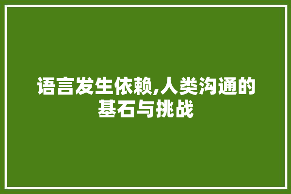 语言发生依赖,人类沟通的基石与挑战