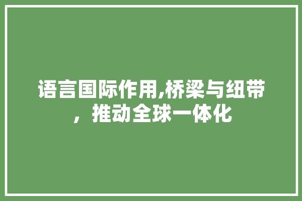 语言国际作用,桥梁与纽带，推动全球一体化