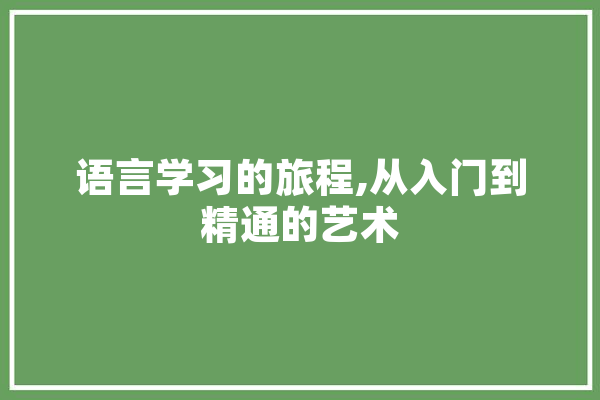 语言学习的旅程,从入门到精通的艺术