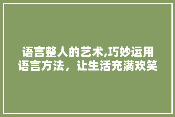 语言整人的艺术,巧妙运用语言方法，让生活充满欢笑