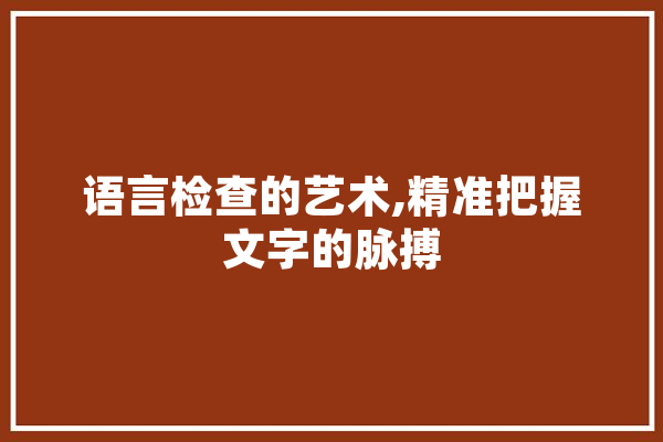 语言检查的艺术,精准把握文字的脉搏