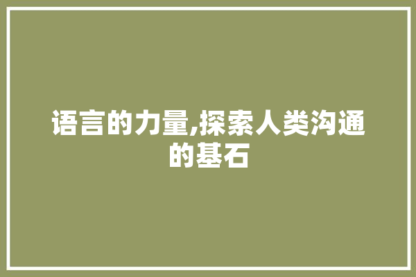 语言的力量,探索人类沟通的基石