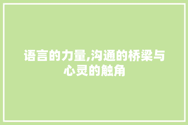 语言的力量,沟通的桥梁与心灵的触角