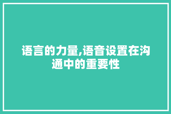 语言的力量,语音设置在沟通中的重要性
