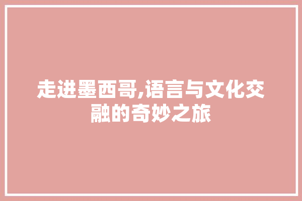 走进墨西哥,语言与文化交融的奇妙之旅