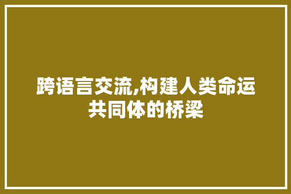 跨语言交流,构建人类命运共同体的桥梁 云服务