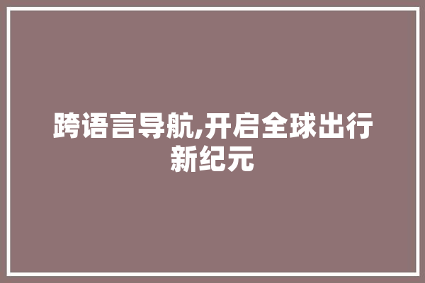 跨语言导航,开启全球出行新纪元