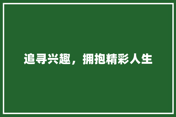 追寻兴趣，拥抱精彩人生 文字写作