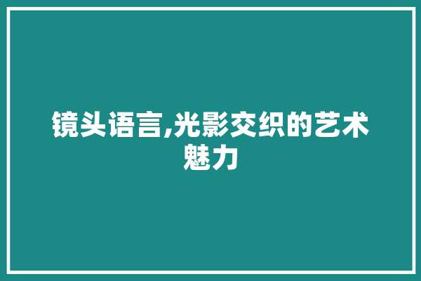 镜头语言,光影交织的艺术魅力