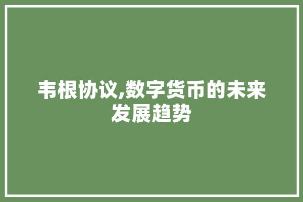 韦根协议,数字货币的未来发展趋势