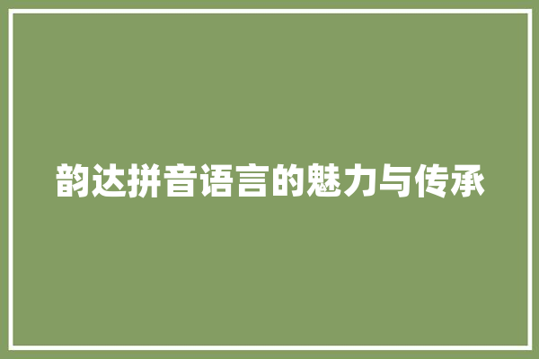 韵达拼音语言的魅力与传承