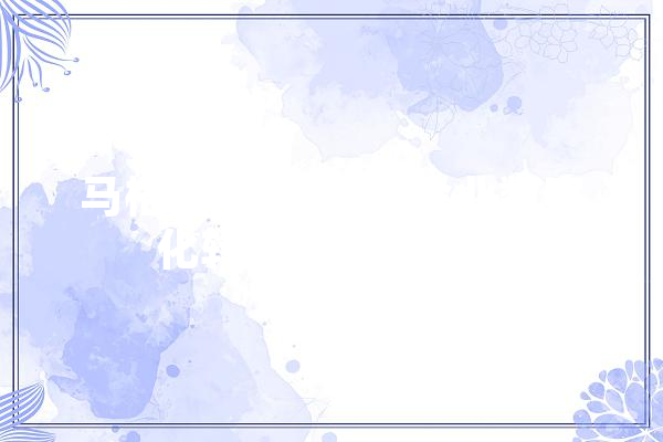 马格斯CMS,引领企业数字化转型的创新引擎 计算机