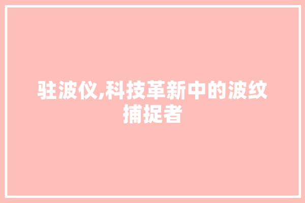 驻波仪,科技革新中的波纹捕捉者