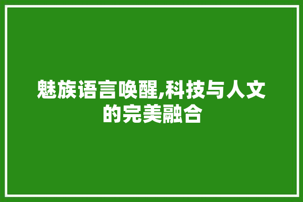 魅族语言唤醒,科技与人文的完美融合