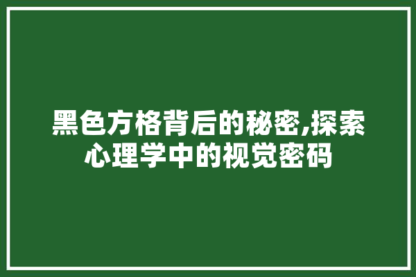黑色方格背后的秘密,探索心理学中的视觉密码