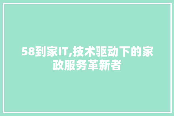 58到家IT,技术驱动下的家政服务革新者