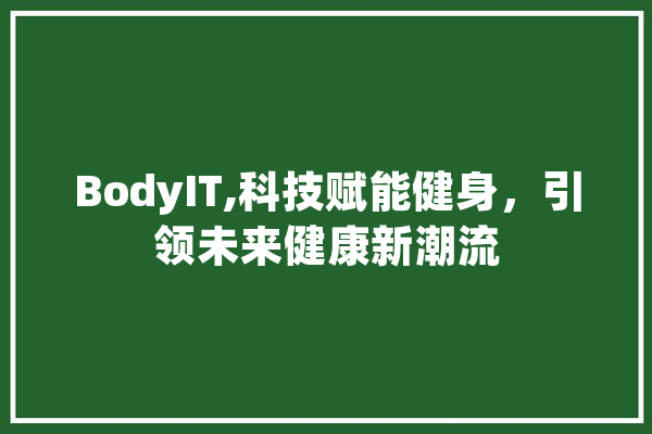 BodyIT,科技赋能健身，引领未来健康新潮流